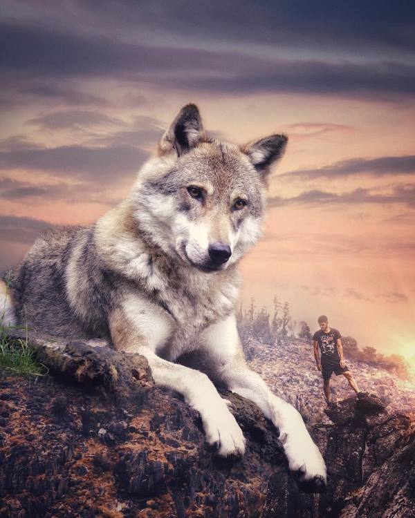 гигантские животные