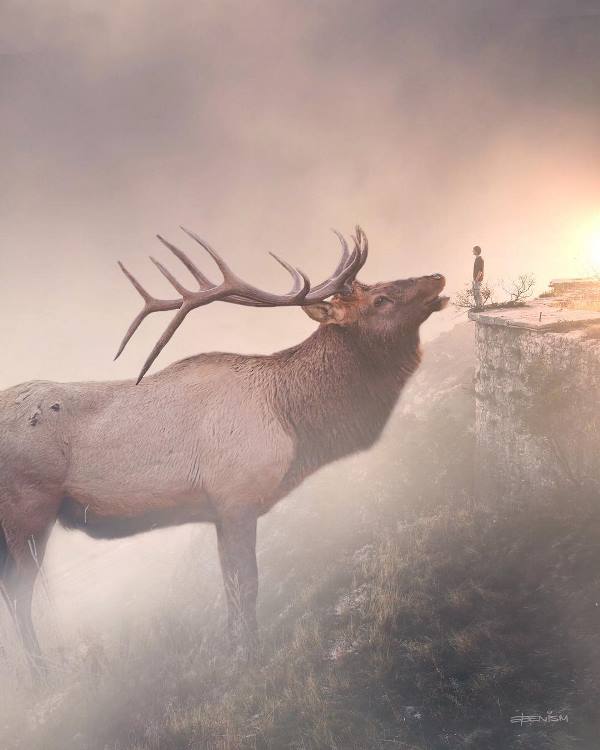 гигантские животные