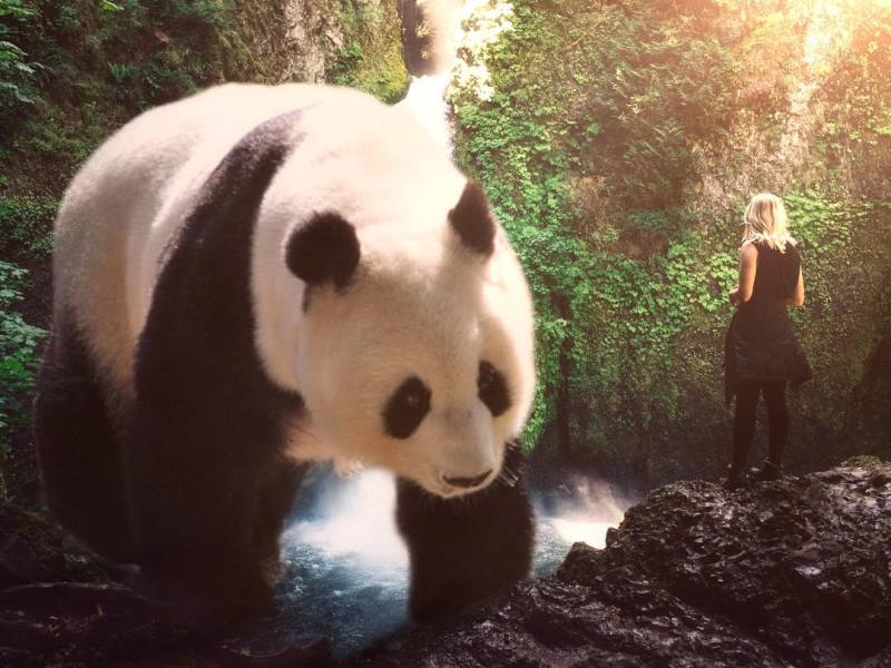 гигантские животные