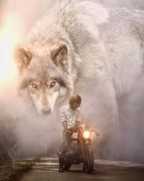 гигантские животные