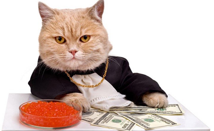 кіт з Італії