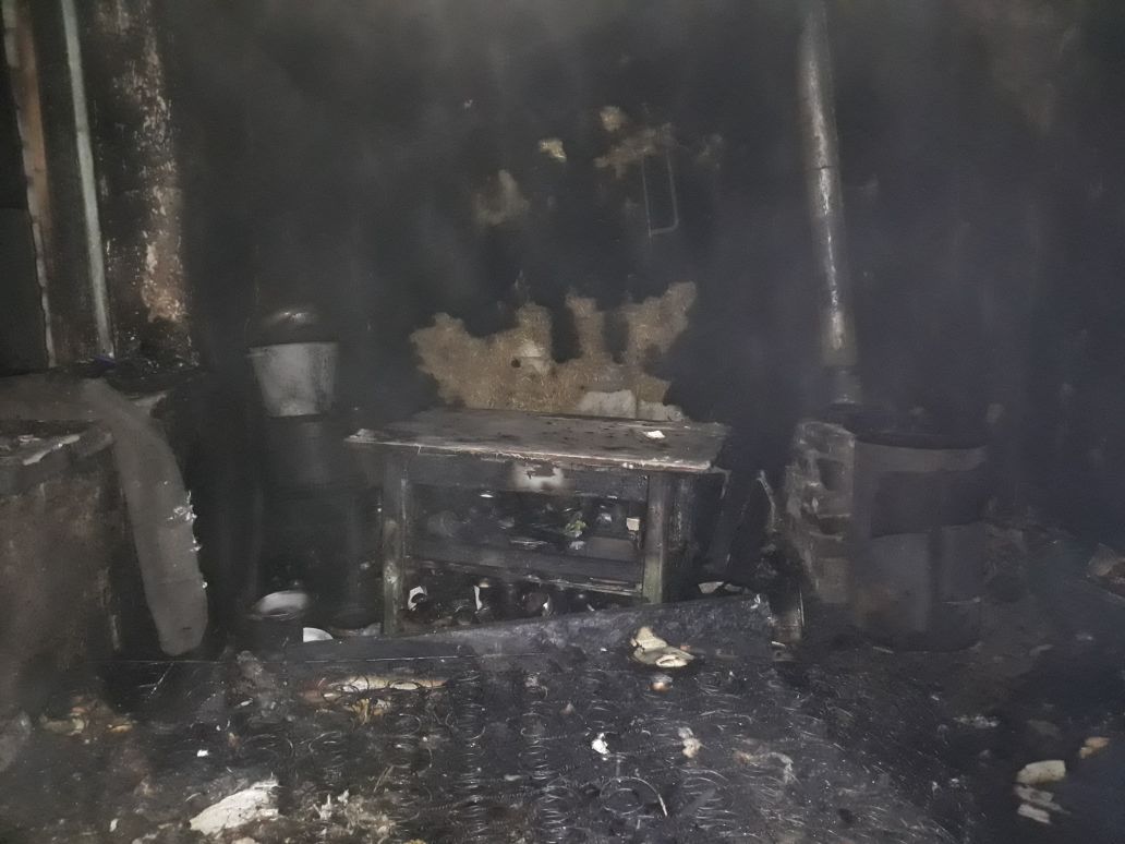 IMG-9808e9b26d5cd2374f2b829514f1cbd6-V