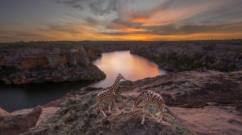 унікальні знімки