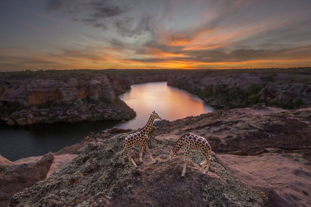 унікальні знімки