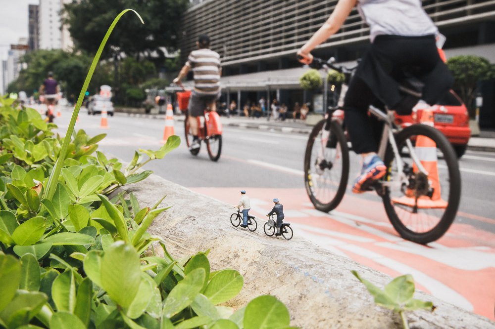 унікальні знімки