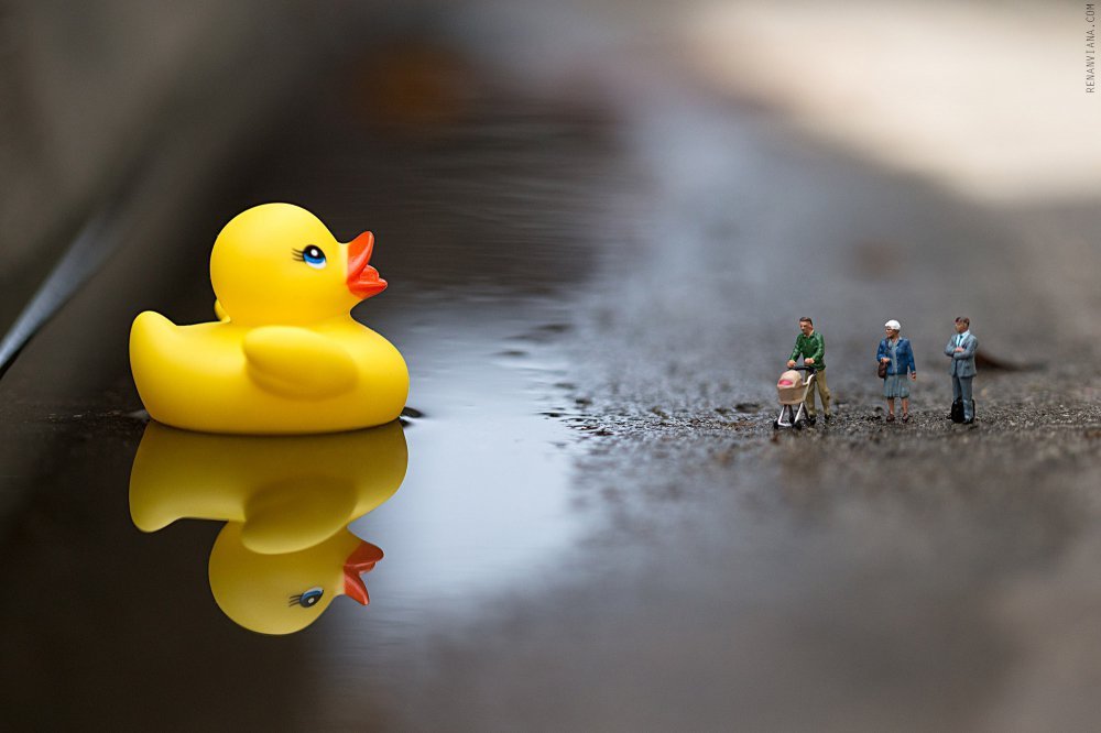 унікальні знімки