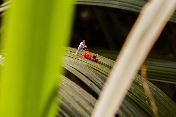 унікальні знімки