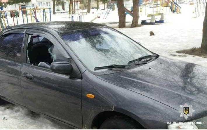 крадіжка_Новомосковський район