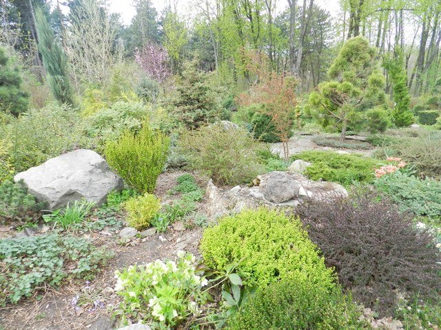 ботанический сад_Днепр