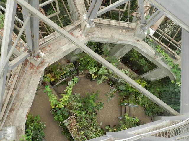 ботанический сад_Днепр