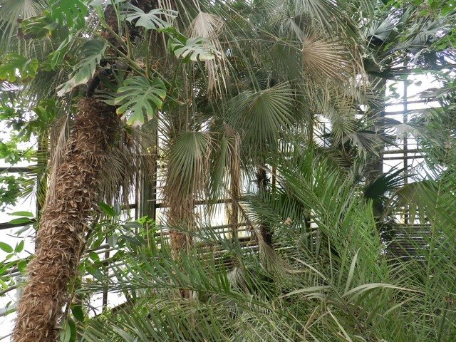 ботанический сад_Днепр