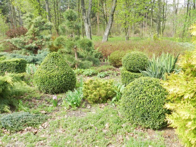 ботанический сад_Днепр