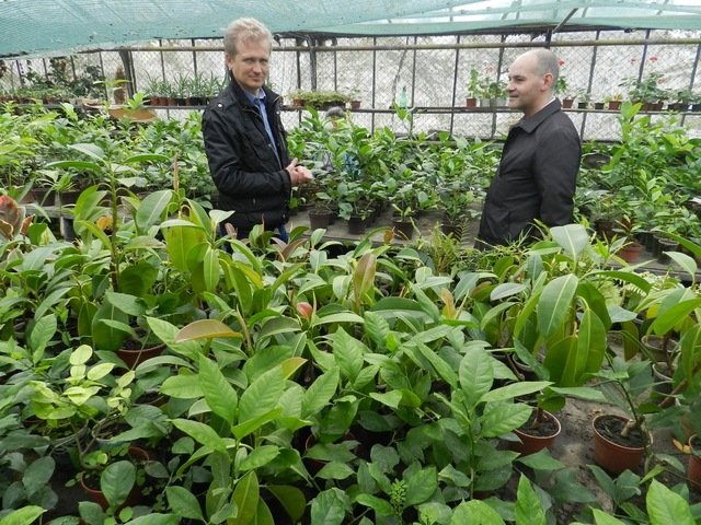 ботанический сад_Днепр