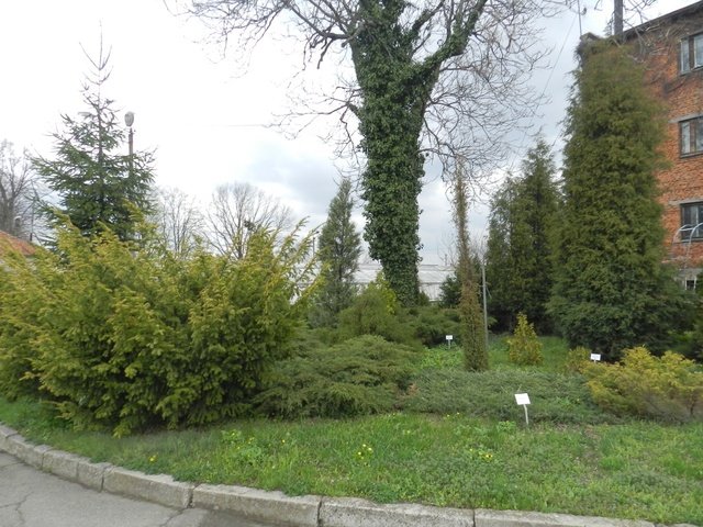 ботанический сад_Днепр