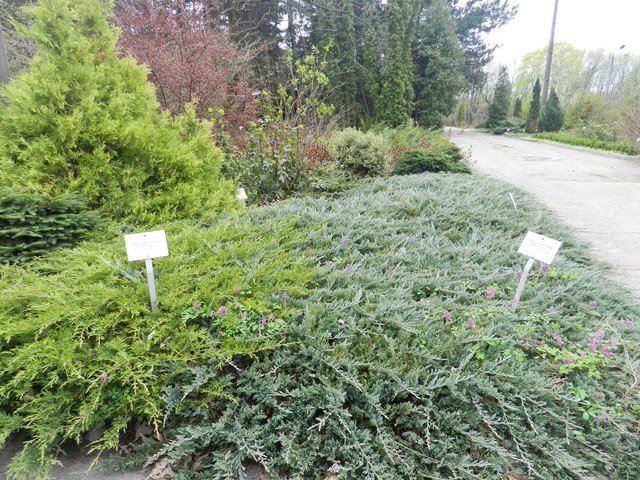 ботанический сад_Днепр