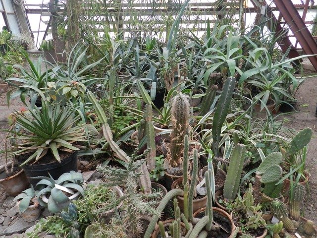 ботанический сад_Днепр