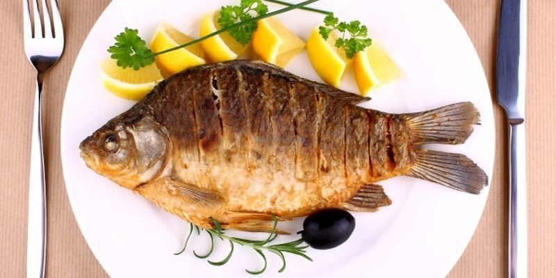 свойства рыбы