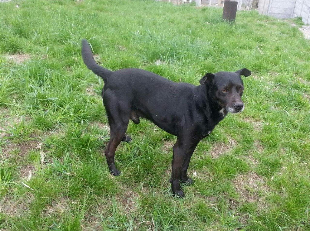 Днепр_неразлучники