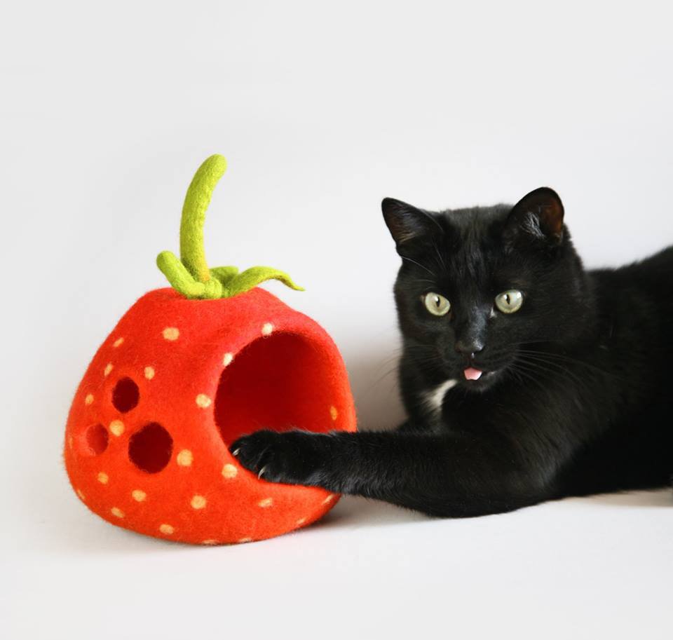 домики для кошек