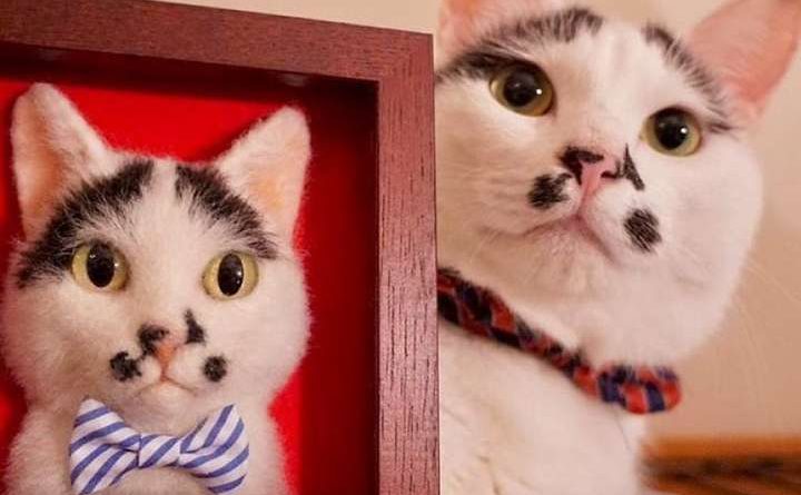 портреты кошек