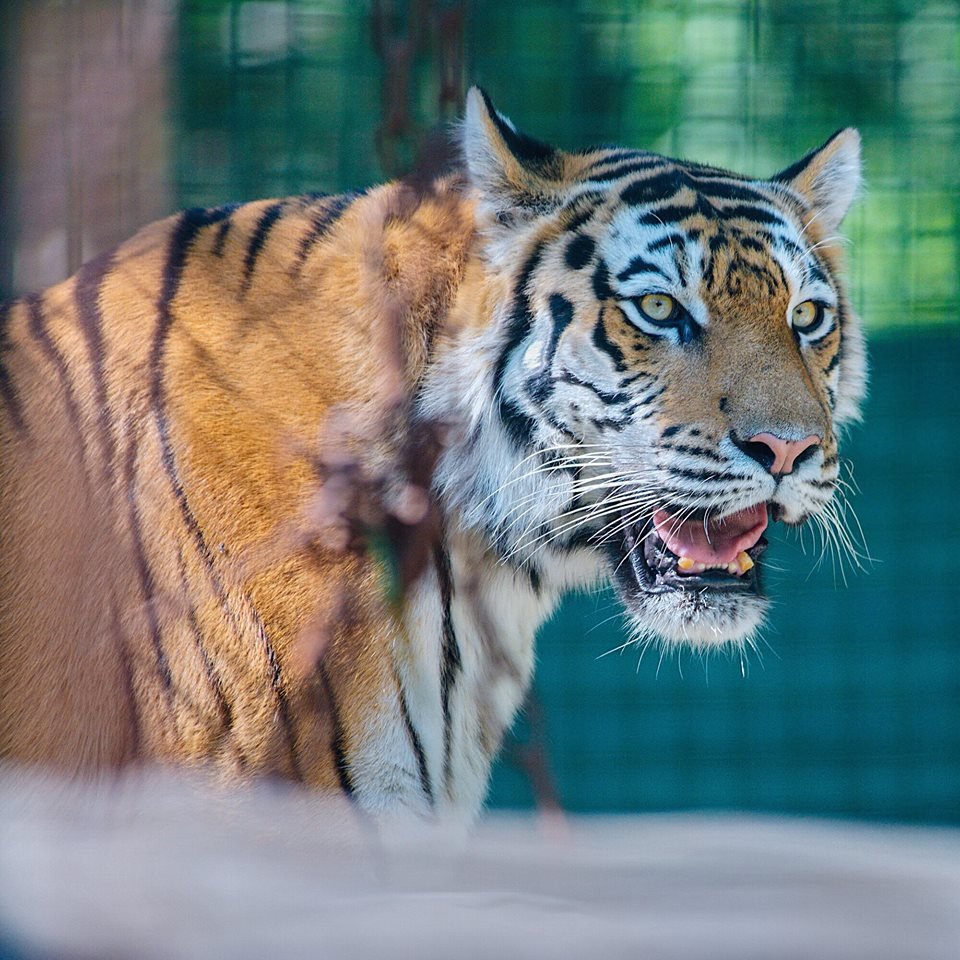 Фельдман Экопарк