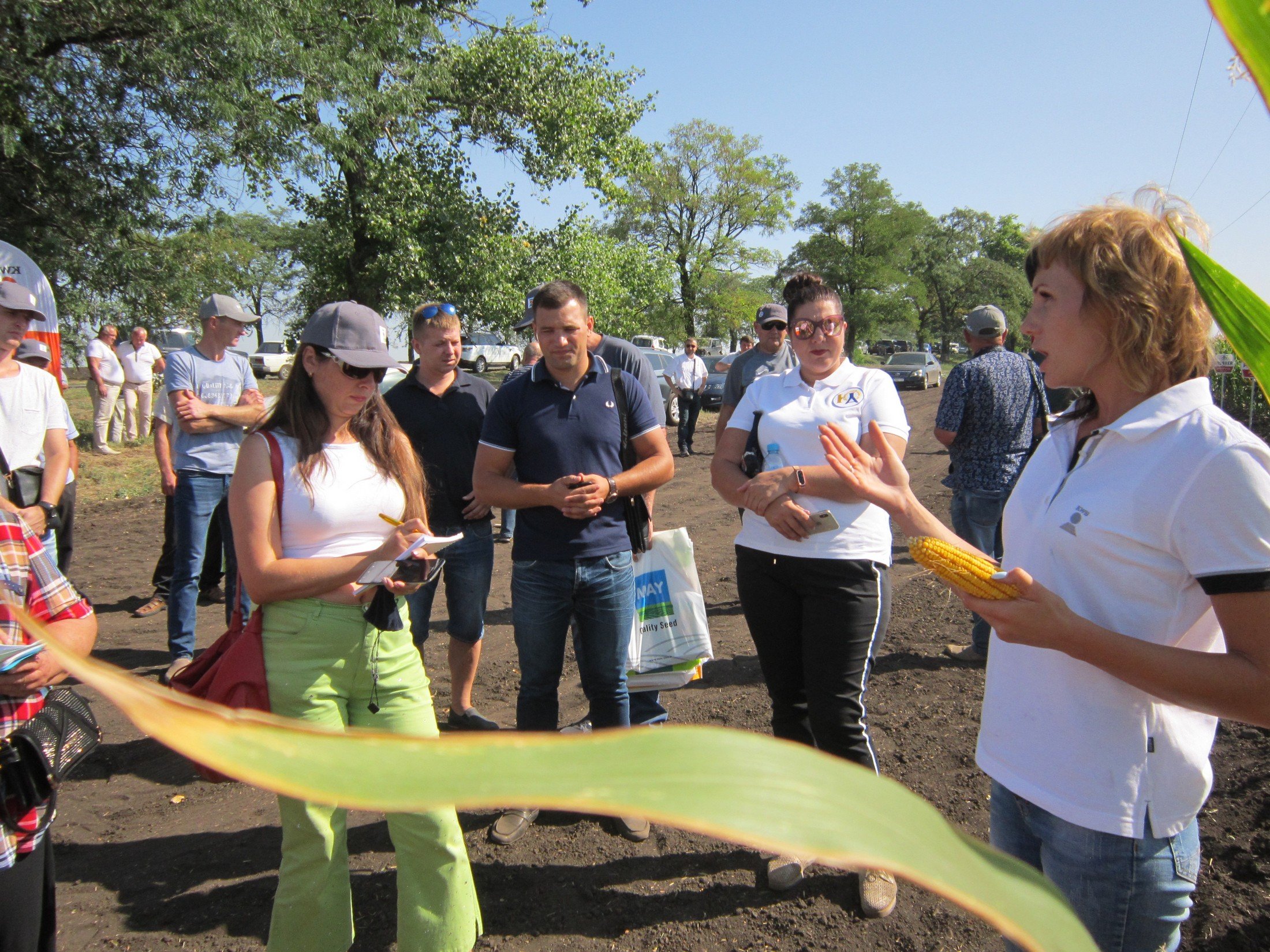 Васильківщина звітує про селянські справи1