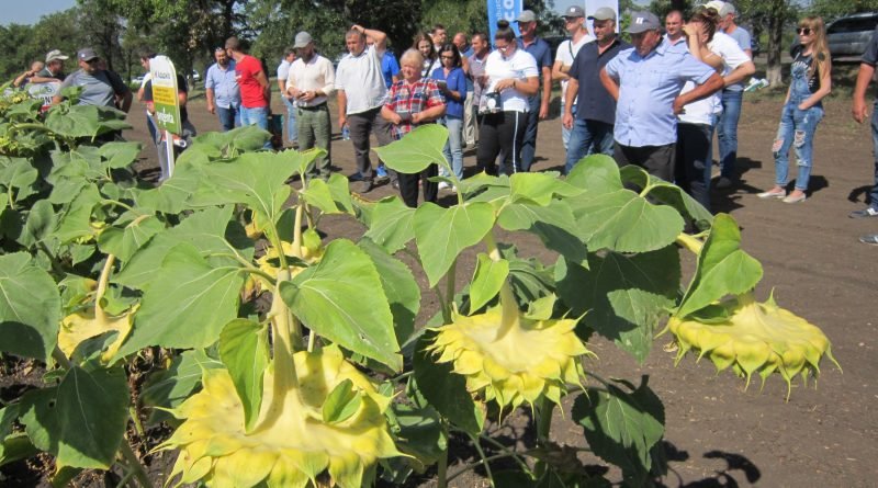 Васильківщина звітує про селянські справи3