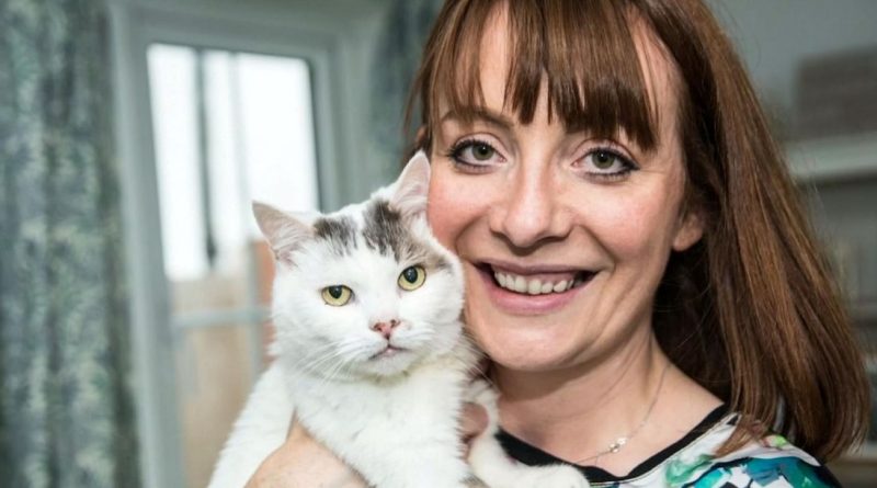 кот Тео_Британия