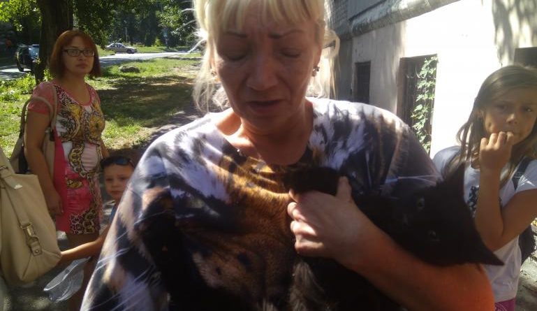 кот_Каменское