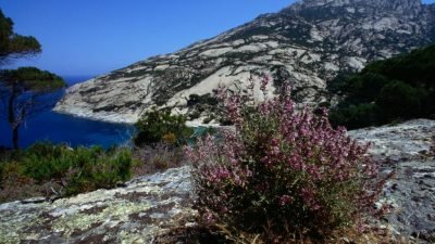 остров Монтекристо