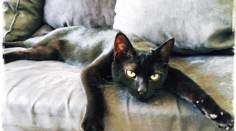 победители конкурса