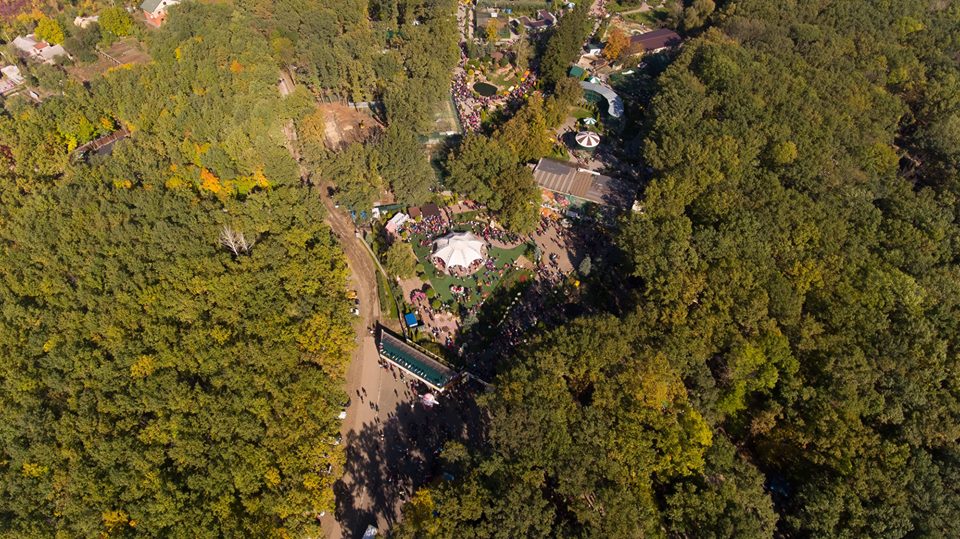 Бал хризантем_Фельдман Экопарк