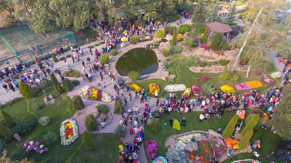 Бал хризантем_Фельдман Экопарк