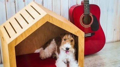 мебель для животных