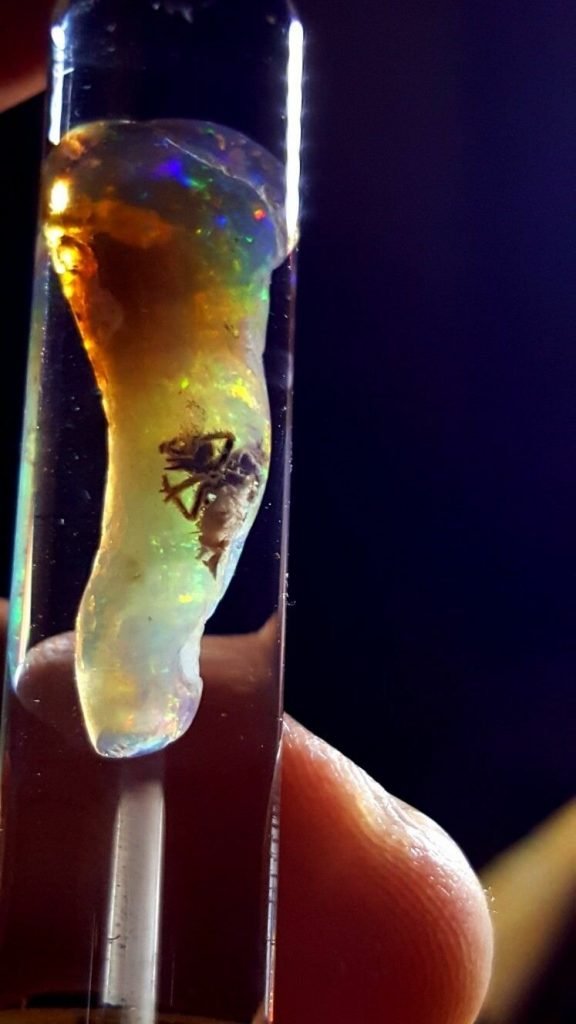 опал с жуком