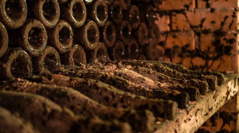 в Египте обнаружили винный погреб с монетами