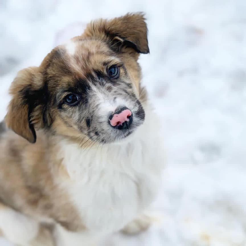 отказник_Днепр