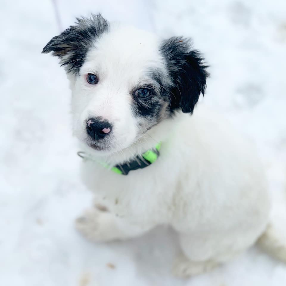 отказник_Днепр