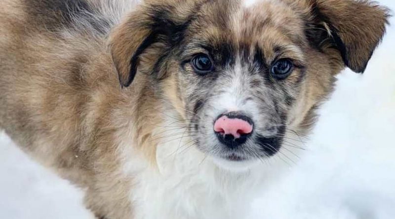 отказник_Днепр