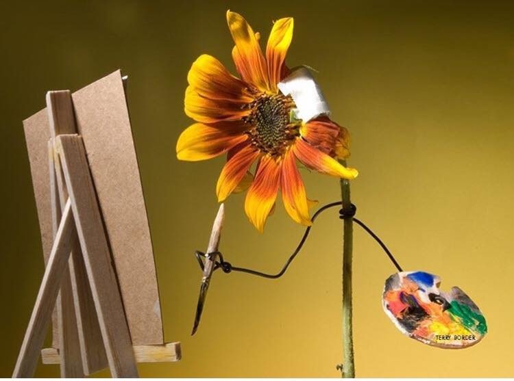 необычные работы Терри Бордера