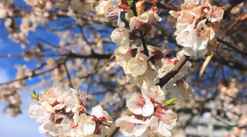 погода Днепр