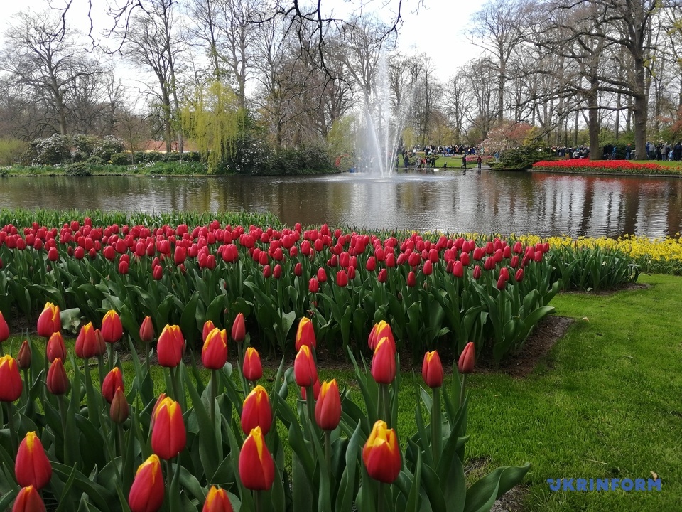 квітковий фестиваль у Нідерландах