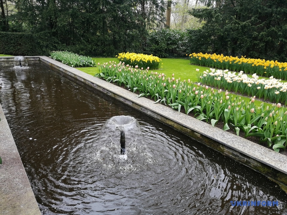 квітковий фестиваль у Нідерландах