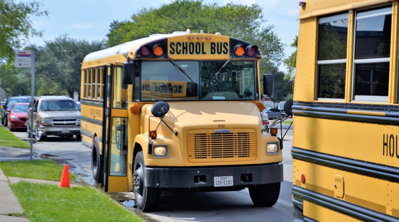 система образования в США