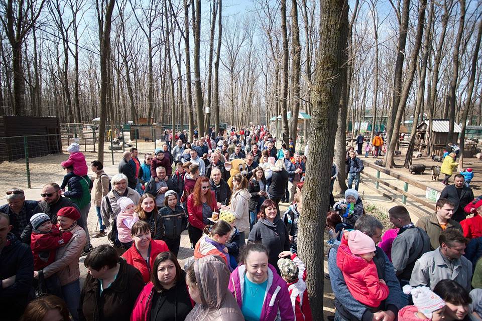 весенняя акция_Фельдман Экопарк