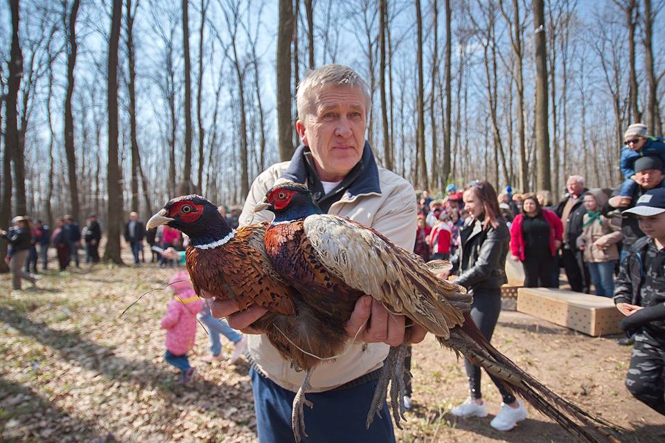 весенняя акция_Фельдман Экопарк
