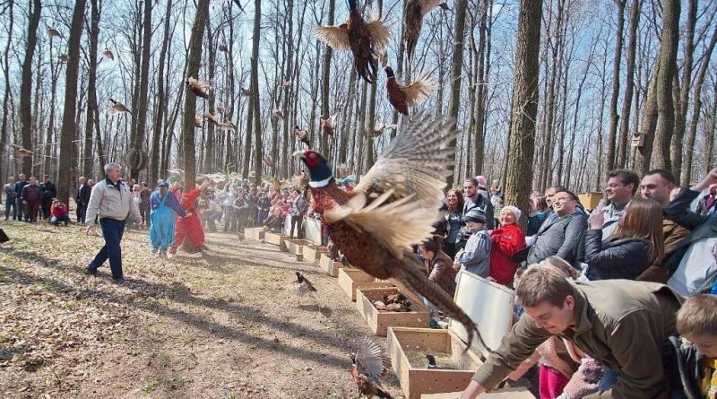 весенняя акция_Фельдман Экопарк