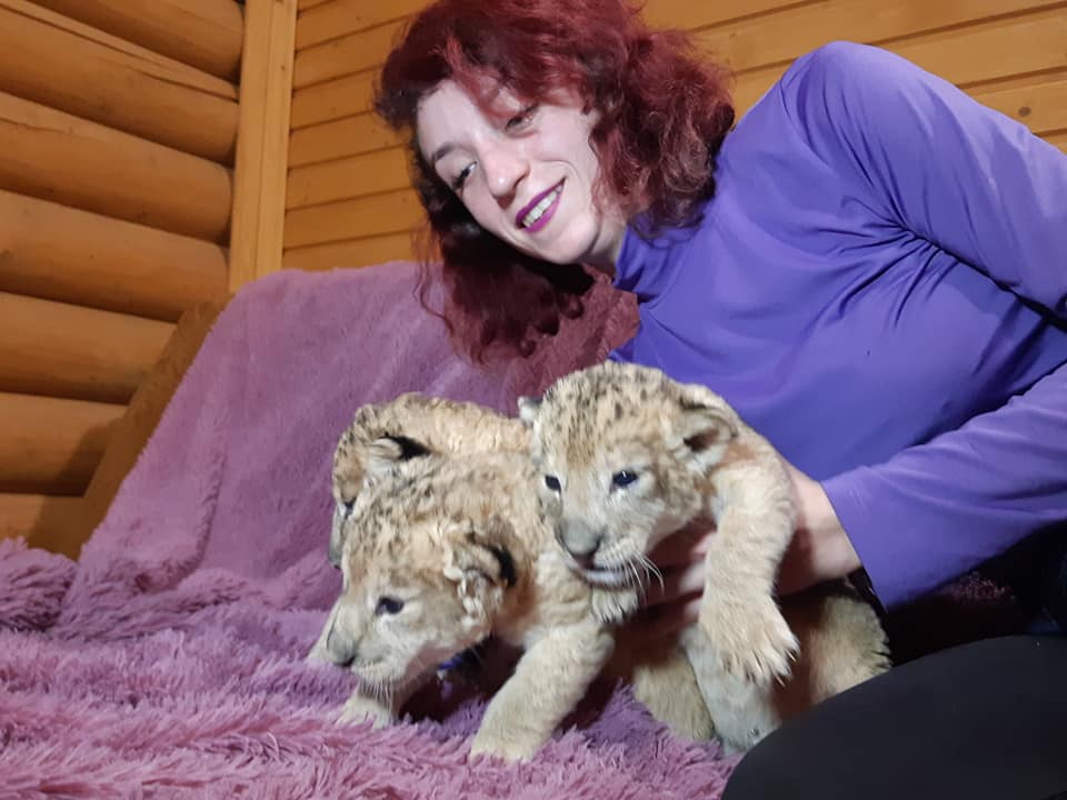 левенята_бердянський зоопарк