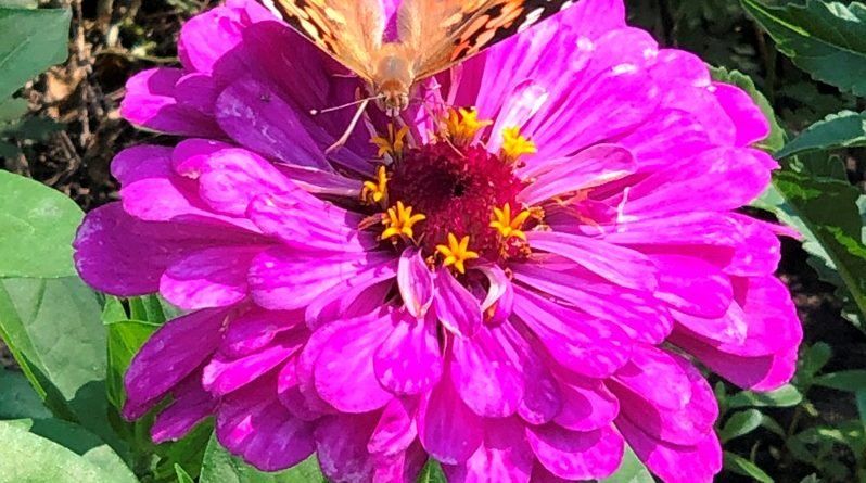 Погода Дніпро