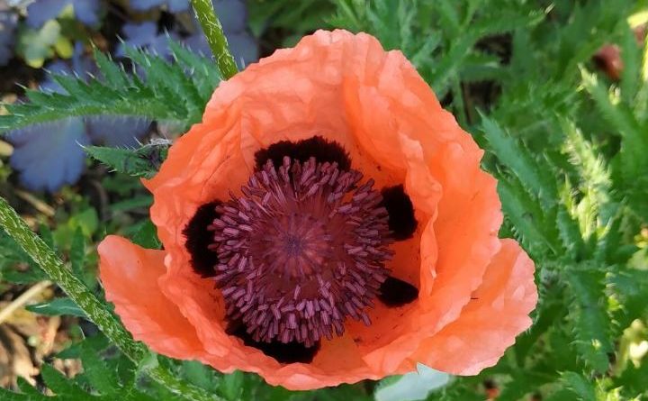 погода Днепр